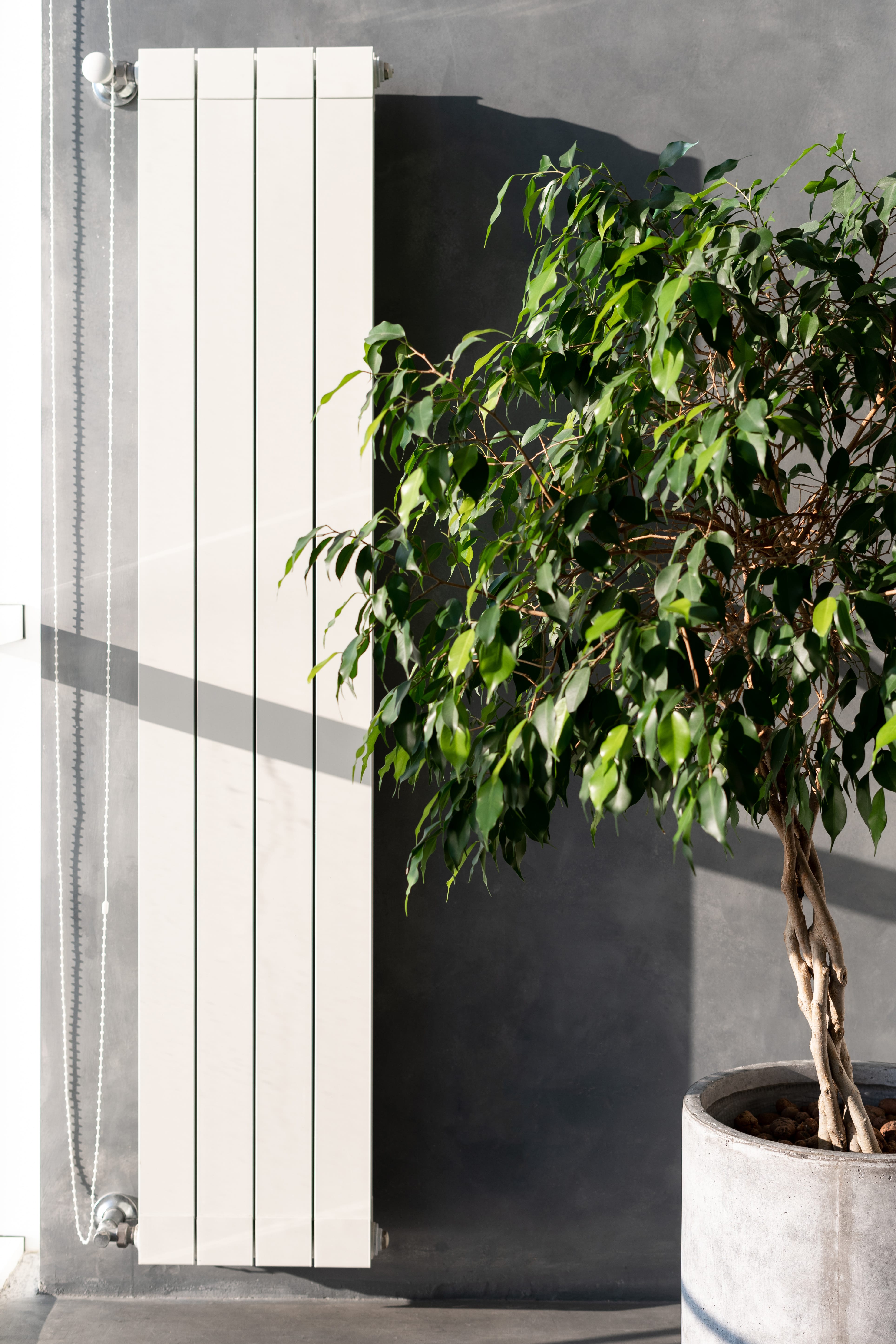 Vertical Designer Radiator